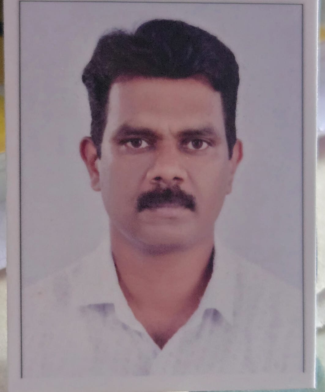 Sijo Mathew 